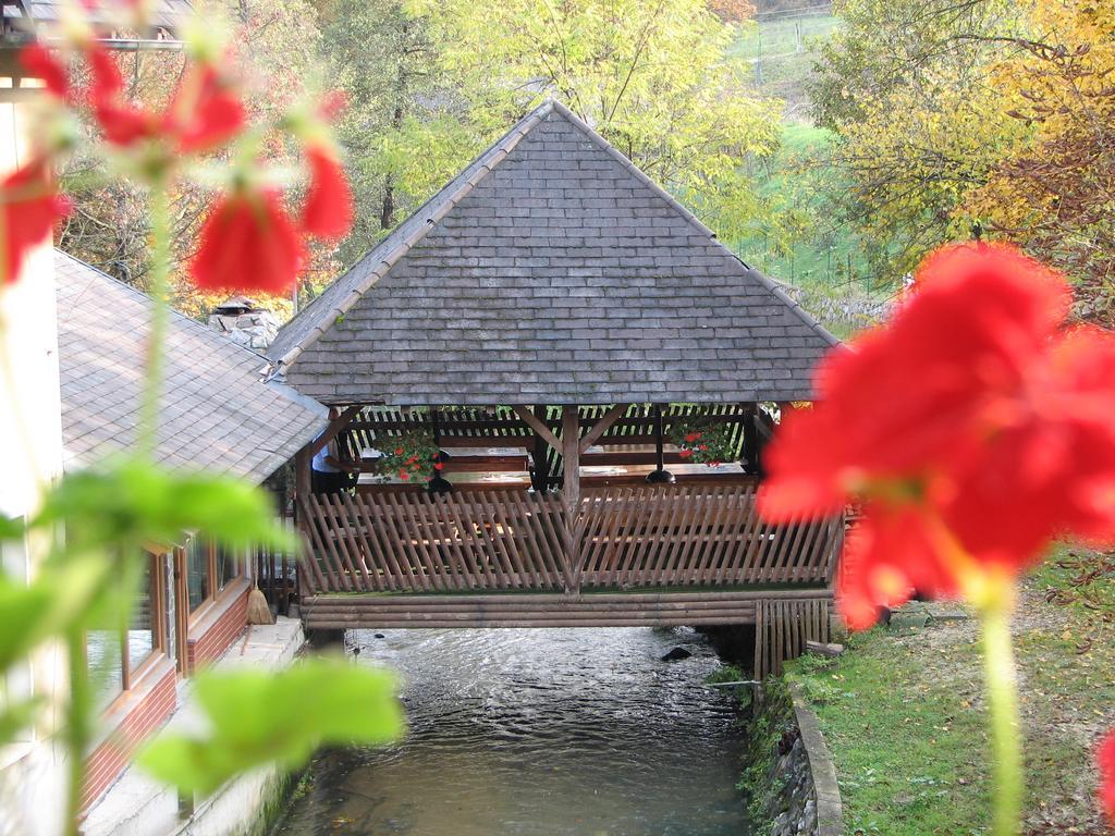 Guesthouse Zorko Gostilna Domen Smarjeske Toplice Exterior photo