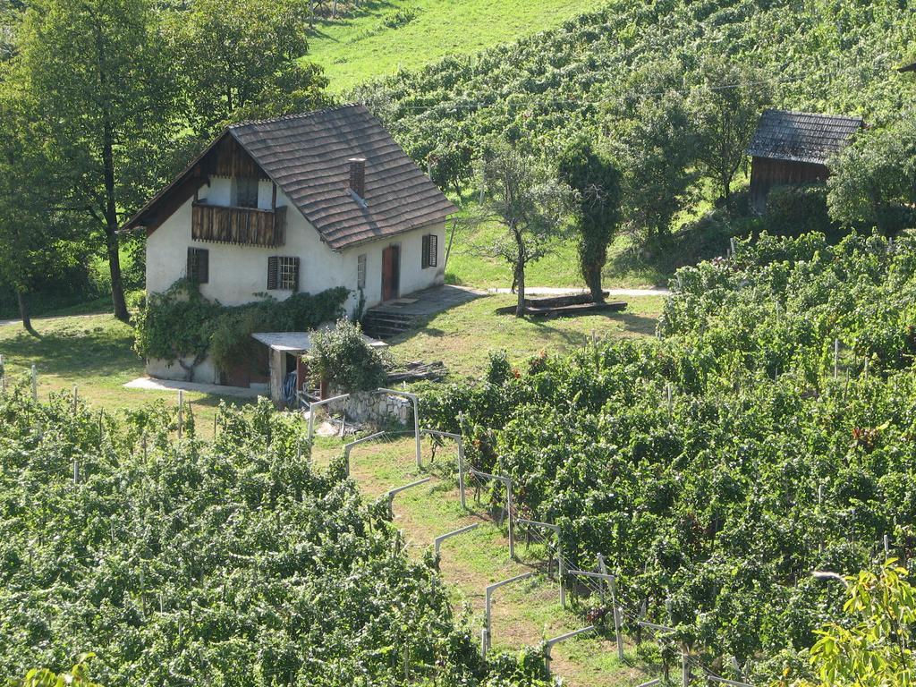 Guesthouse Zorko Gostilna Domen Smarjeske Toplice Exterior photo
