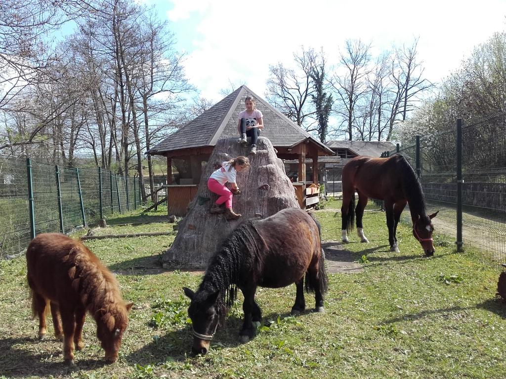 Guesthouse Zorko Gostilna Domen Smarjeske Toplice Exterior photo